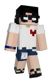 Skin preview