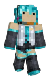 Skin preview