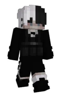 Front of 1NC's skin
