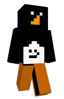 Front of jihocraft's skin