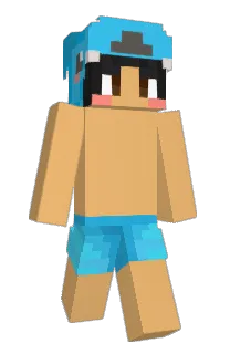 Front of Omziscool's skin