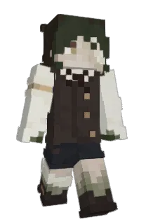 Front of Minecraft skin