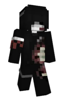 Front of schwarzhubert's skin