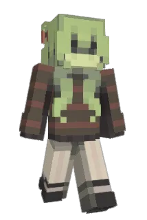 fddl Minecraft avatar full body