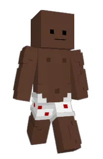 Front of zFyreee's skin