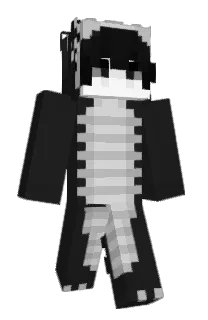 Front of R8M28X's skin
