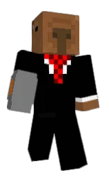 Minecraft skin — Classic model