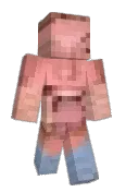 objectivy