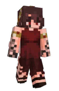 Front of ParieXl's skin
