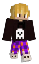night rider and hokey pokey Minecraft skin — Classic model