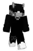 SenorGoose