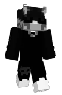 Front of SenorGoose's skin