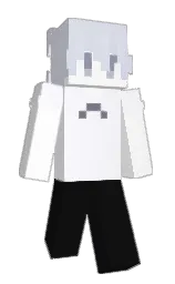 hello24572's Minecraft skin wearing the Migrator cape