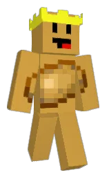 old gold and broom Minecraft skin — Classic model