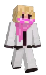 bon jour and maize Minecraft skin — Slim model