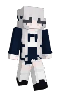 Front of sohv's skin