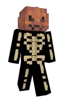Front of 1re's skin