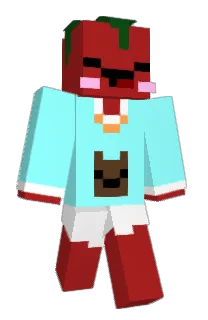 Front of Minecraft skin