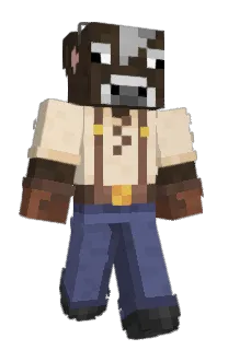 Front of bedwra's skin