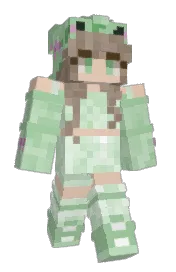 Skin preview