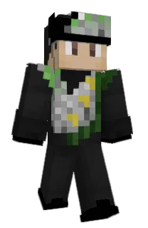 Front of vertab6r's skin