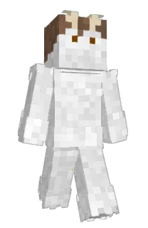 Front of Andererion's skin