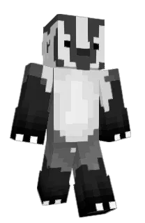 Badjiir's Minecraft skin