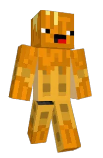 Front of Pavlovic's skin