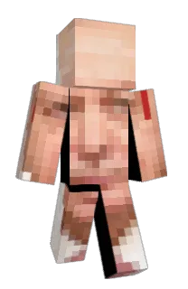 PROAKSEL's Minecraft skin