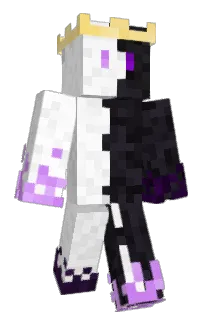 Front of overtechh's skin