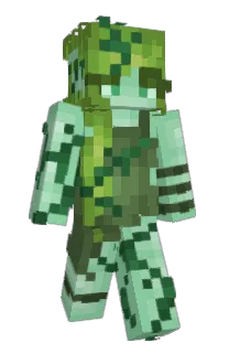 Front of Arohie's skin