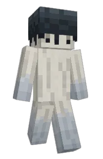 Front of Bematode's skin