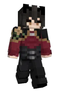 Front of ShinjuSan's skin