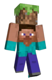Front of AppIePay's skin