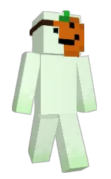 Minecraft skin — Slim model