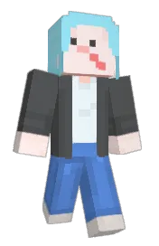 Skin preview