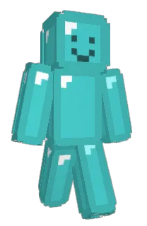 Front of wlsehd's skin