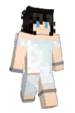 fectorized Minecraft avatar full body