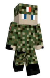 Skin preview