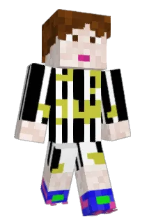 fedelapi Minecraft avatar full body