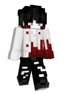 feelwenot Minecraft avatar full body