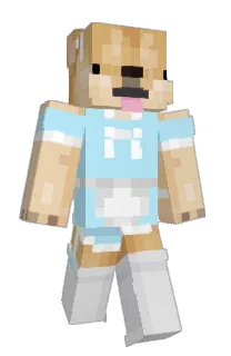 Front of DawgMasta's skin