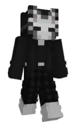 cod gray Minecraft skin — Slim model — first worn by __Roza