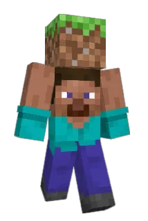 felek5755 Minecraft avatar full body