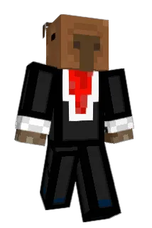 fell0rin Minecraft avatar full body