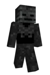 felonJAVA Minecraft avatar full body