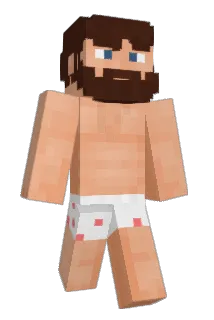 feltii Minecraft avatar full body