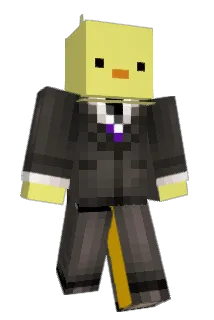 felves Minecraft avatar full body