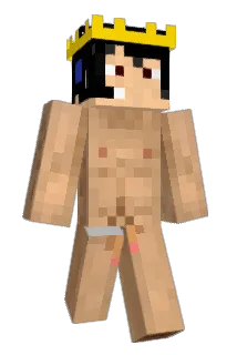 fenestro Minecraft avatar full body