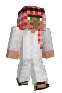 fer0xd Minecraft avatar full body